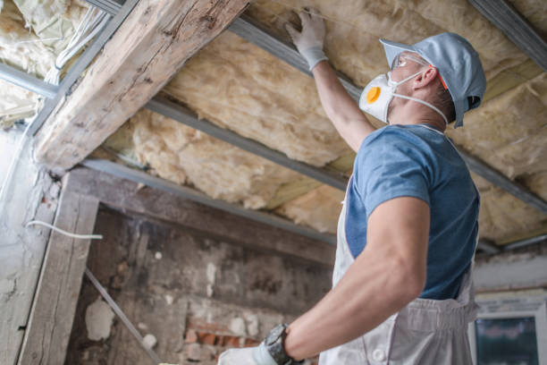 Best Specialized Insulation Services in Pleak, TX