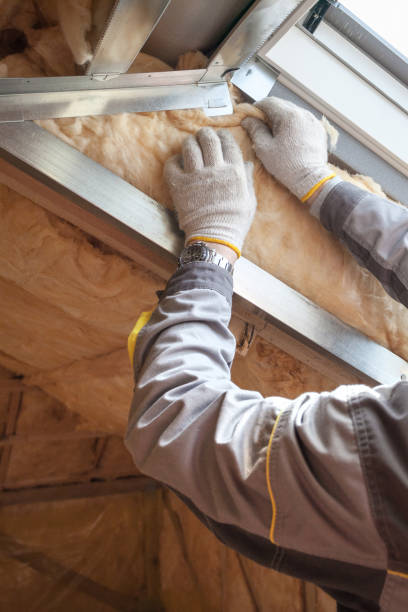Best Spray Foam Insulation in Pleak, TX