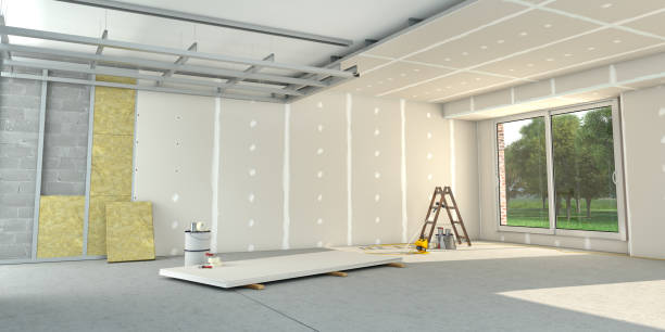 Best Insulation Maintenance and Repair in Pleak, TX