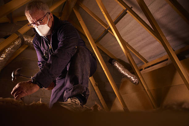 Best Spray Foam Insulation in Pleak, TX